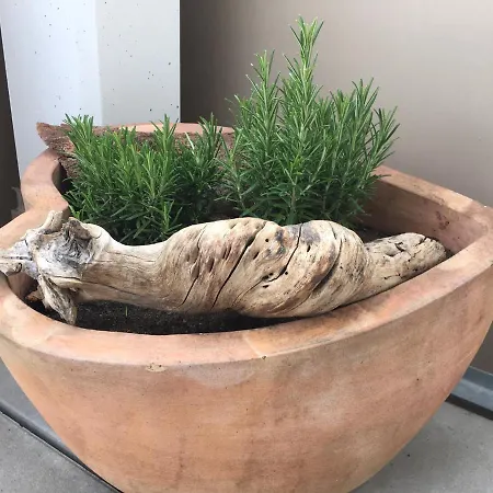 Schoenblick Pfronten