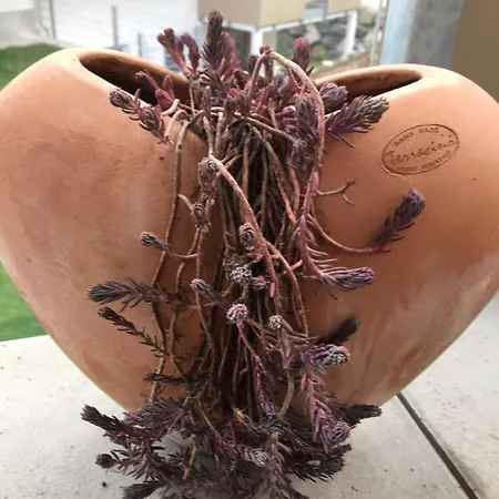 Schoenblick Apartman *